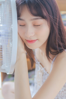 罗莉岛事件是怎么回事